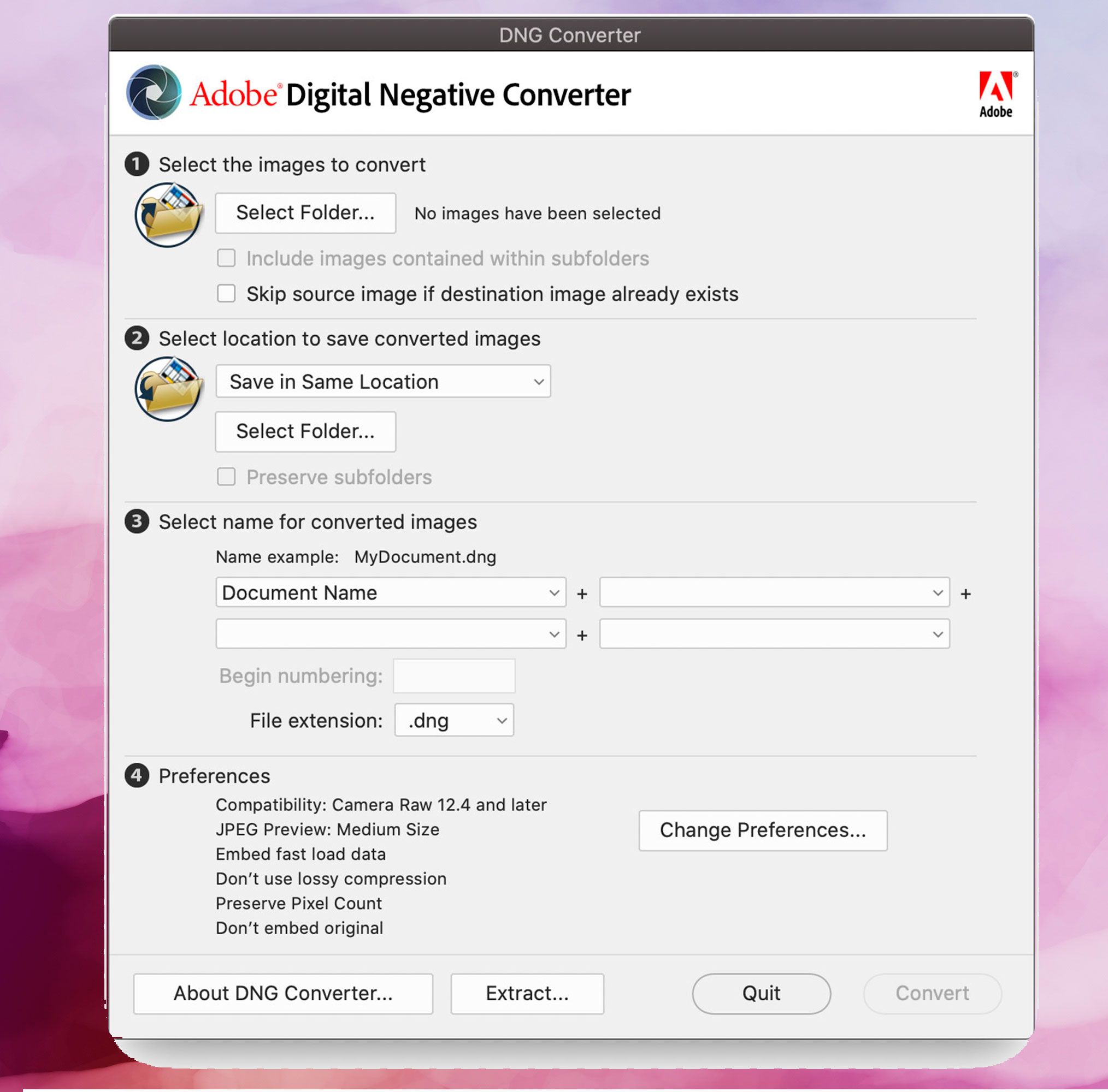 Adobe DNG Converterのスクリーンショット、DNG画像をJPEGに変換する..