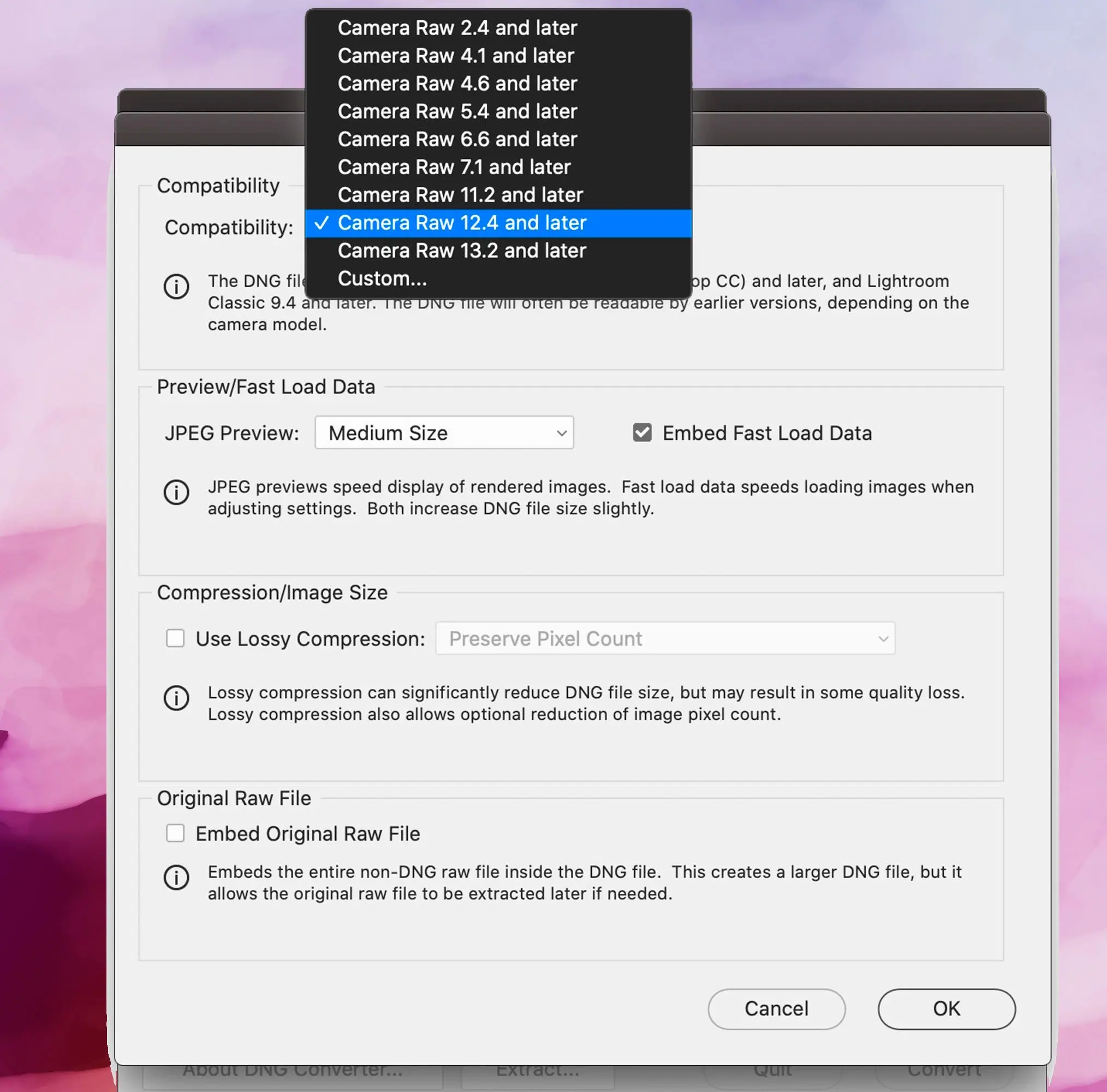 Adobe DNG Converterのスクリーンショット、互換性の設定..