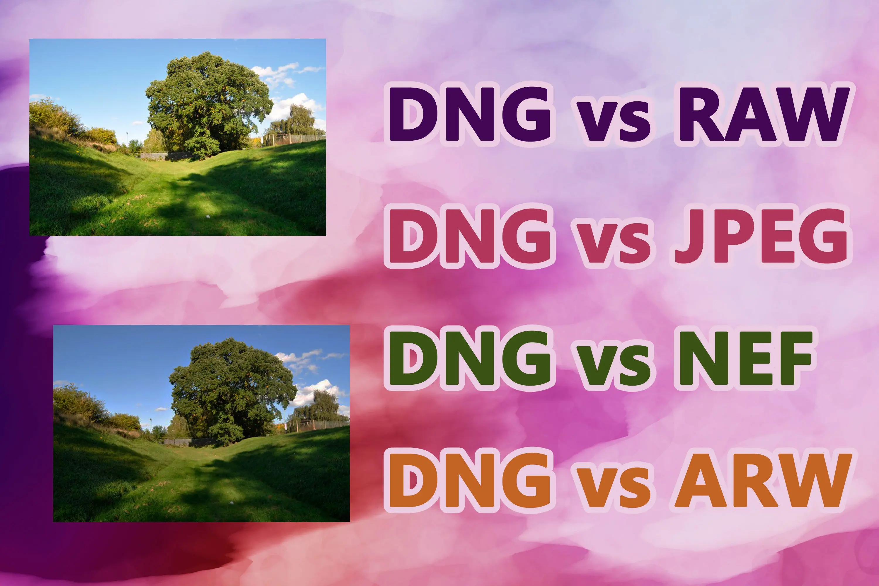 DNG vs RAW フォーマット..