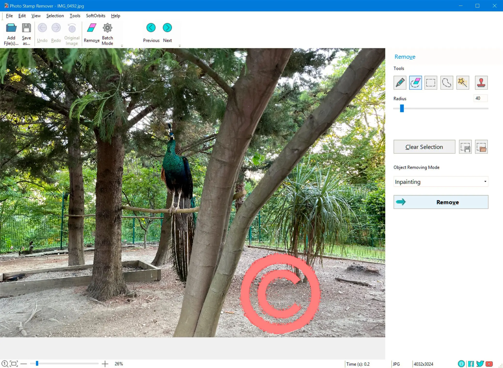 写真から著作権ウォーターマークを削除します。..