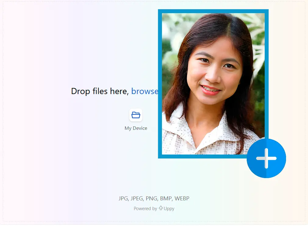（オプション）カスタムプロンプトを入力.