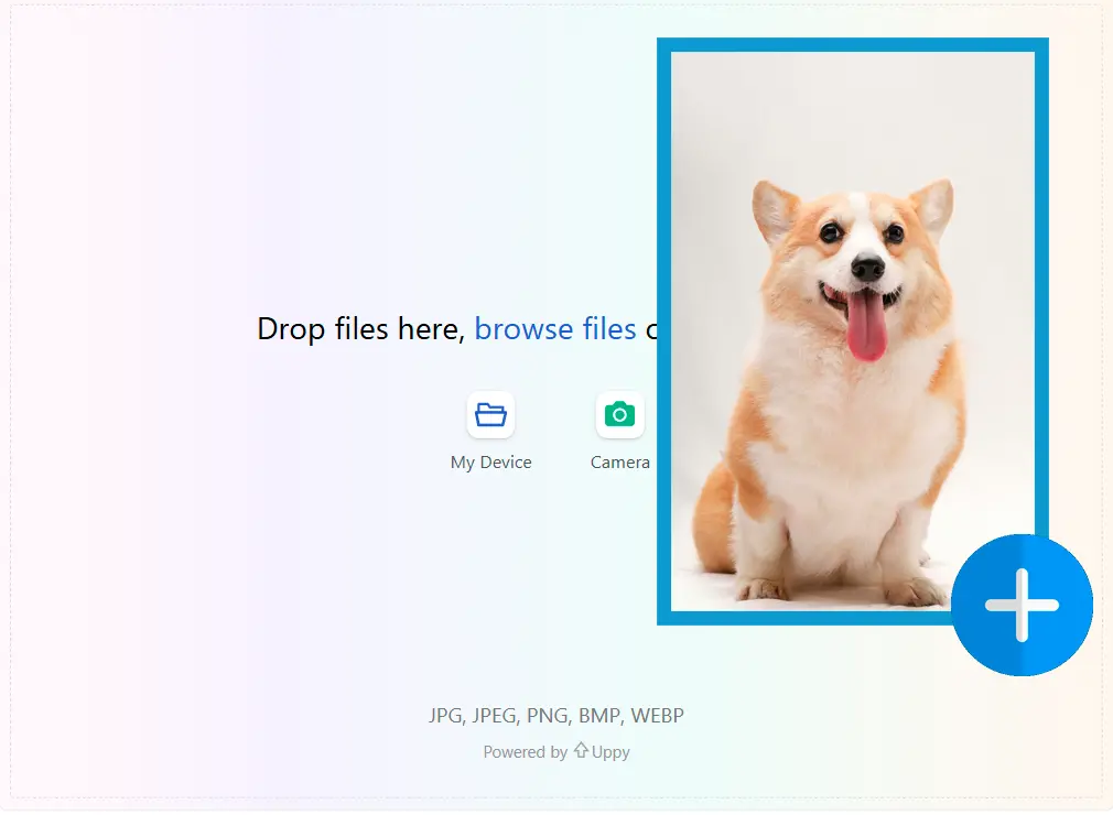 画像をアップロード.