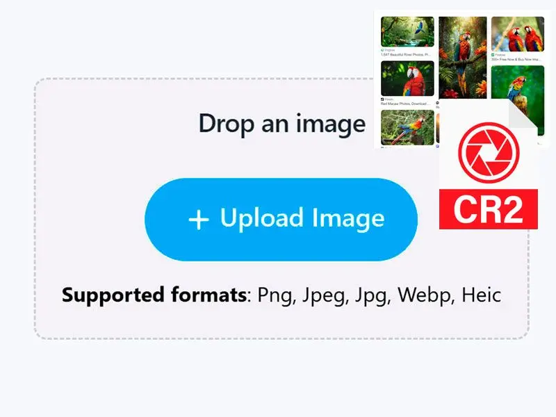 CR2 ファイルを追加.