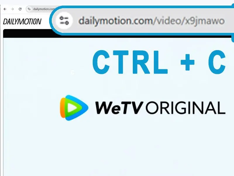Dailymotion動画URLのコピー&ペースト.