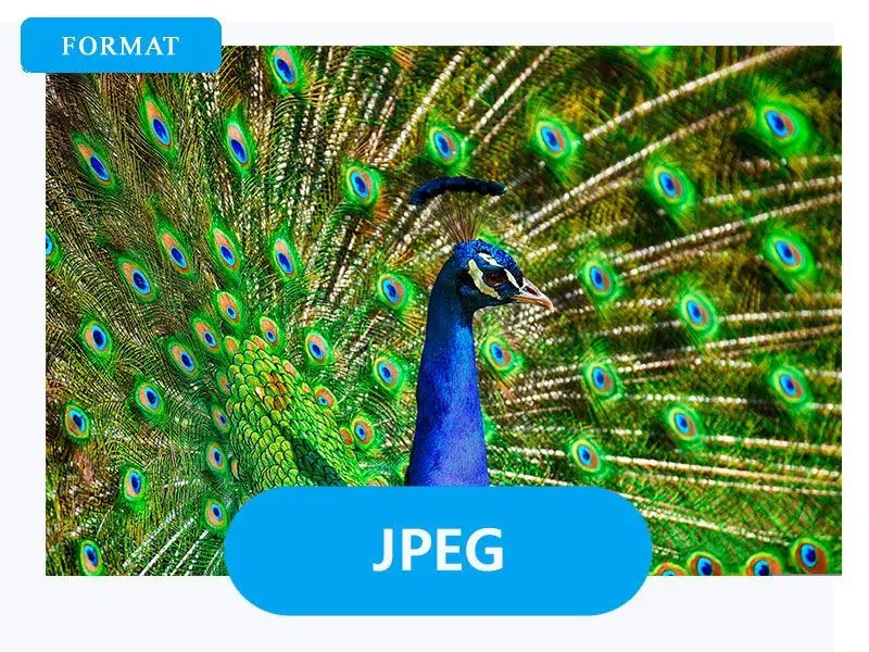 出力にJPGを選択.