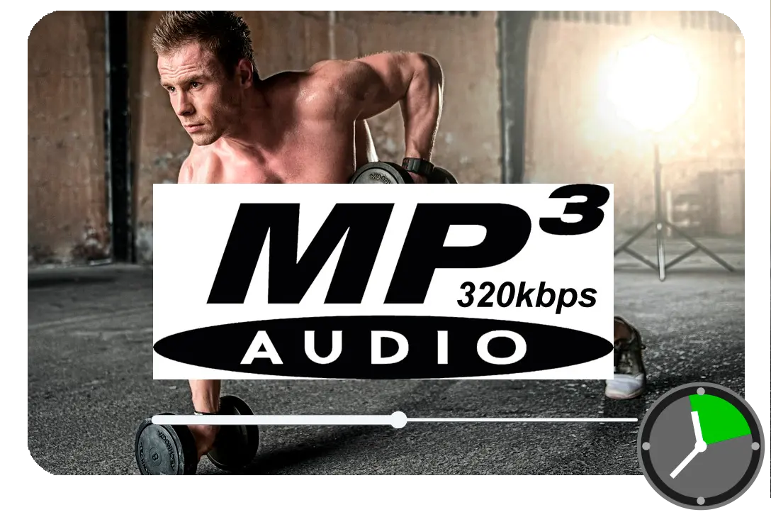 出力としてMP3を選択.