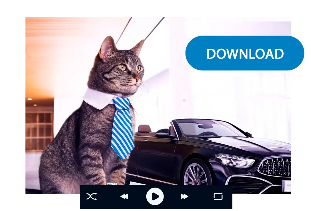 ビデオをダウンロード.