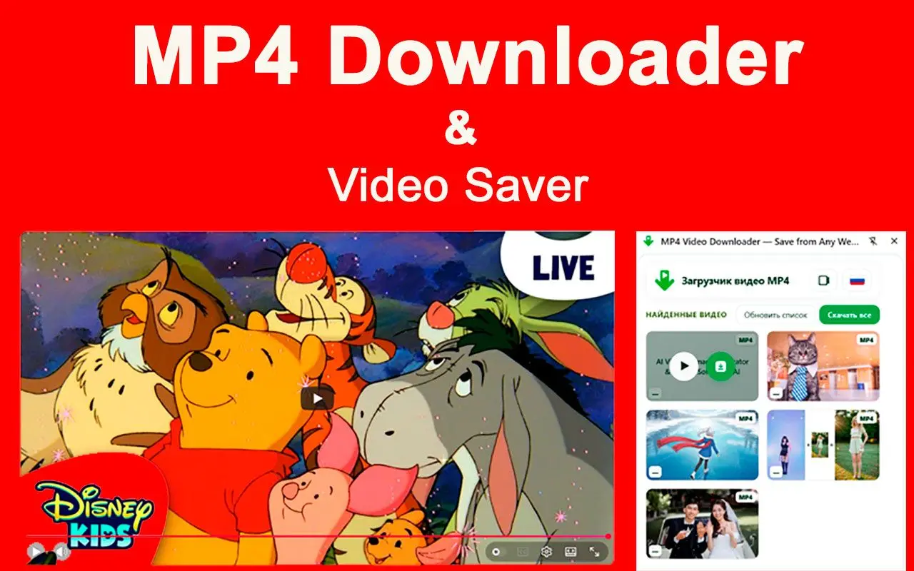 MP4 DownloaderとChrome拡張機能の制限.