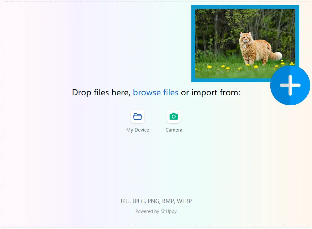 リファレンス画像をアップロード.
