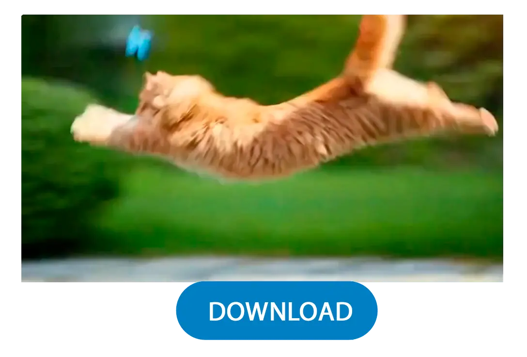 生成とダウンロード.